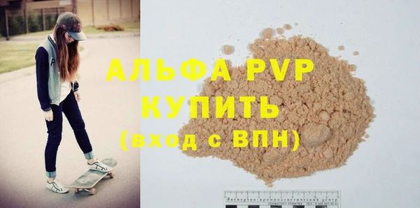 гидра Вязьма