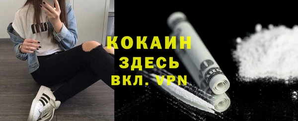 гидра Вязьма