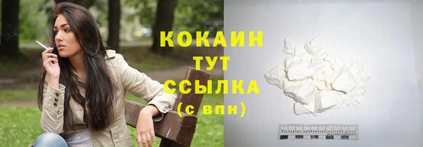 гидра Вязьма