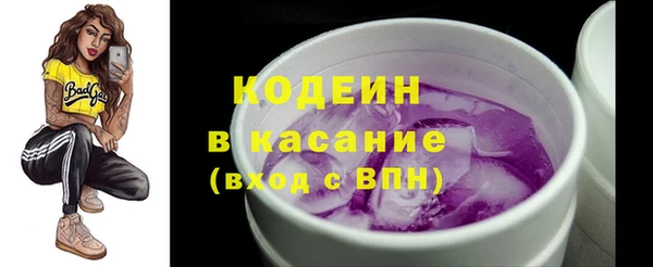 гидра Вязьма