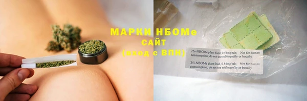 гидра Вязьма