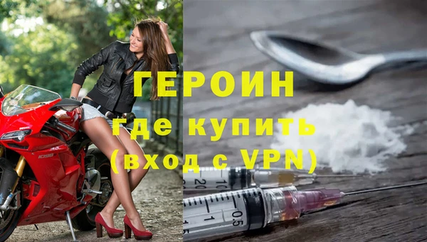 гидра Вязьма