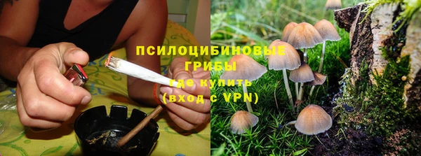 гашиш Вяземский